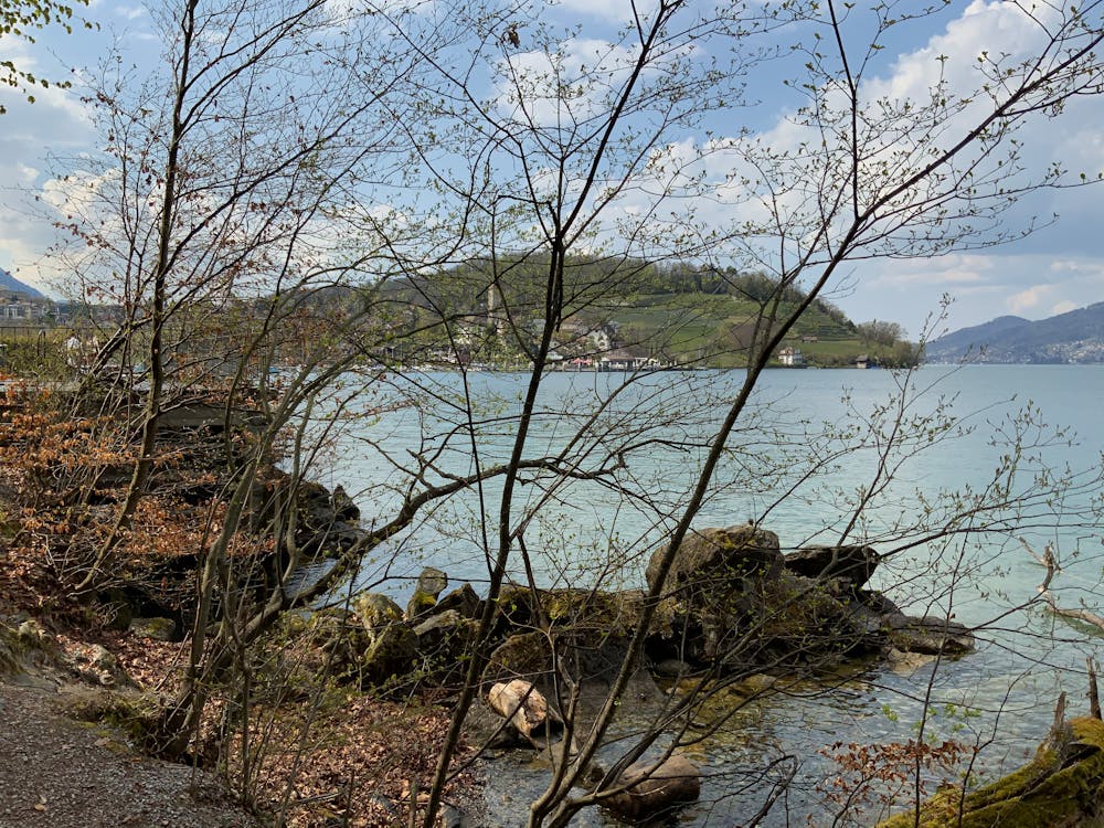永野芽郁